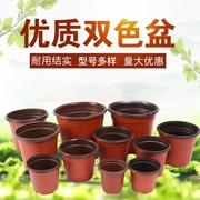 双色盆一次性花盆育苗盆营养钵简易特大号花盆育苗双色花盆种植盆