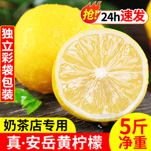 四川安岳黄柠檬(黄柠檬)新鲜水果，奶茶店专用现摘无籽，薄皮一级香水甜柠檬青