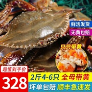 青岛梭子蟹全母带黄2斤鲜活螃蟹活冻新鲜海蟹特大海鲜飞蟹水产蟹