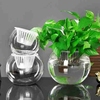 水培植物玻璃瓶水养绿萝花瓶花盆大号透明玻璃圆球鱼缸器皿容器w8