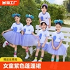 女童紫色蓬蓬裙六一儿童纱裙表演服夏季套装小学生幼儿园毕业礼服