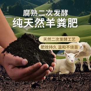 羊粪发酵有机肥颗粒鸡粪肥，纯羊粪蛋腐熟种菜花卉通用有机肥料蔬菜