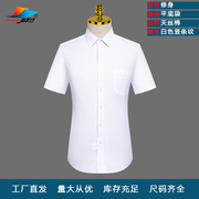 短袖男衬衣白色竖条纹CVC天丝棉QDG301T常规领商务职业正装男衬衫