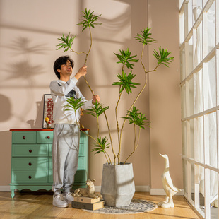 百合竹仿真室内大型植物，客厅假树落地盆栽仿生绿植装饰造景摆件