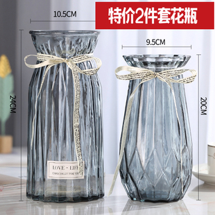 二件套欧式玻璃花瓶透明彩色，水培植物花瓶，客厅装饰摆件插花瓶