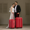 芒果鸟行李箱红色20寸结实耐用高颜值亮面结婚陪嫁密码登机拉杆箱