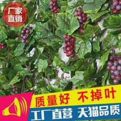 仿真塑料花藤条爬山虎葡萄叶绿树叶管道植物吊顶室内壁挂阳台装饰