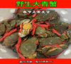 (鲜活大青蟹)鲜活膏蟹母蟹活蟹红蟳肉蟹野生海蟹(满2斤)