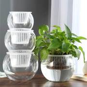 圆球形小号透明玻璃花瓶鱼缸水养绿萝花盆桌面装的筐托盘深接水栽