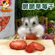 jolly脆脆草莓干8g补充维生素vc小宠兔子龙猫荷兰猪仓鼠零食