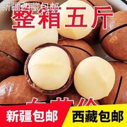 @新疆西藏低于价新货夏威夷果奶油味500g含罐坚果干果