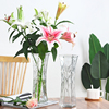 创意大号透明六角玻璃，花瓶水养富贵竹百合，鲜花插花瓶家用客厅摆件