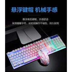 双飞燕有线键盘鼠标套装背光游戏电脑台式笔记本悬浮键帽机械手感