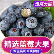 新鲜蓝莓鲜果当季新鲜水果孕妇，蓝梅高山怡颗甜莓整箱大果速发