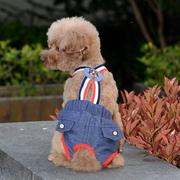 宠物衣服2020夏季猫咪狗狗泰迪，柯基博美小型犬背带生理裤