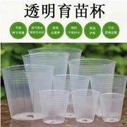 蝴蝶兰专用种植育苗杯育苗钵营养钵兰花石斛兰透明盆营养杯透明