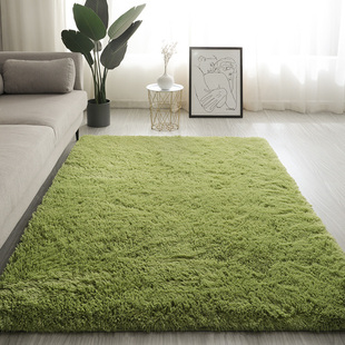 地毯绿色卧室客厅床边毯毛绒，地垫2024定制长毛，ins房间厚垫子