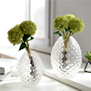 欧式透明浮雕菠萝创意玻璃，艺术花瓶绿萝插花台面简约样板间装饰品