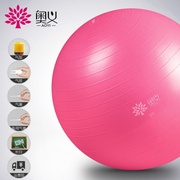 体操球瑜珈装备室内器材大球，助产顺产瑜伽球按摩孕训练器瑜珈球加