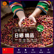 金粽咖啡云南普洱日晒咖啡生豆新鲜2023产季