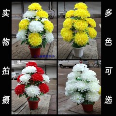 仿真花清明节假菊花扫墓祭祀墓地摆放花永生上坟用品花装饰花盆栽