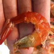 温州虾干即食烤虾干虾，对虾干洞头特产海鲜干货零食500g