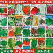 蔬菜种子四季适播种孑小葱香菜菠菜上海青家庭阳台盆栽小菜园种籽