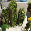 创意树皮多肉苔藓摆放仿真植物艺术花盆，花园橱窗布景装饰绿植花艺