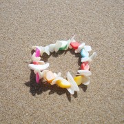 天然螺贝壳手链手工制作个性装扮沙滩配饰儿童朋友可爱礼物伴手礼