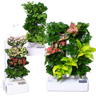 定制智能立体垂直绿化自动浇灌植物墙花盆塑料绿植墙面装饰绿化种