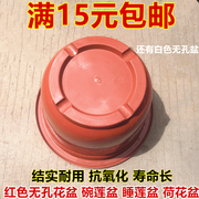 红色白色睡莲盆碗莲盆 塑料 无孔花盆不漏水大号水培荷花水生花卉