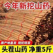 正宗铁棍山药新鲜5斤铁杆，小白嘴中药材，非河南焦作温县垆土淮山菜