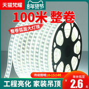 led灯带条100米超亮白光软灯条户外亮化工程，装饰室外防水线灯220v