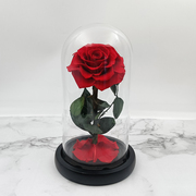 永生花 小王子七彩玫瑰花束玻璃罩摆件情人节 生日礼物送女友