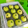 悦多王林苹果8-10枚礼盒装，当季新鲜水果青苹果