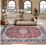 进口波斯地毯高级现代客厅卧室美式轻奢欧式复古茶几毯耐脏地垫