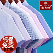 俞兆林纯棉男士短袖，衬衫中青年商务免烫，纯色宽松大码防皱条纹工装