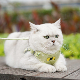 猫咪牵引绳防挣脱外出专用神器背心式溜猫胸背带猫链子宠物遛猫绳
