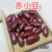 广东正宗赤小豆农家自产纯天然长粒有机红豆，赤豆杂粮2022新货500g