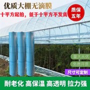 大棚塑料布大棚膜加厚抗老化蓝色无滴G膜塑料保温棚膜养殖莫蔬菜