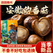 徽州特产干香菇干货农家自制小香菇260g蘑菇冬菇花菇菌菇特产
