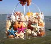贝壳海螺海星套餐鱼缸水族箱地台橱窗造景摆件儿童玩具生日小礼物