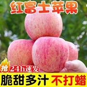 烟台红富士苹果10斤水果，新鲜应当季栖霞萍果冰，糖心丑平果整箱