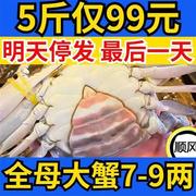 梭子蟹鲜活大母蟹公蟹海蟹飞蟹海鲜，水产新鲜红(新鲜红)膏特大白蟹