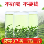 绿茶2023年新茶炒青绿茶，散装浓香型买一送一满150减8元