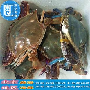 单只3到7两鲜活梭子蟹，吃肉公母梭子蟹青蟹，兰花蟹海鲜水产北京闪送