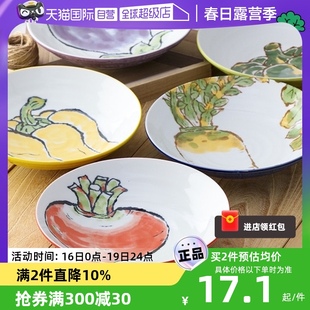 自营日本进口美浓烧陶瓷餐盘具蔬菜日式沙拉果盘碟子深甜品盘