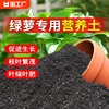 绿萝专用营养土家用盆栽花卉土绿植水培营养液花肥有机种植泥土壤