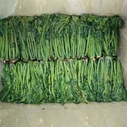 23头茬香椿咸菜新鲜腌制真空酱菜香椿菜香椿头下饭菜500g/1袋