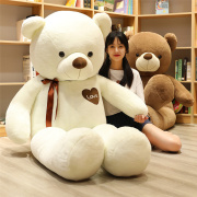 日本抱抱熊泰迪熊布娃娃玩偶，情人节礼物，女孩毛绒玩具熊猫公仔狗熊